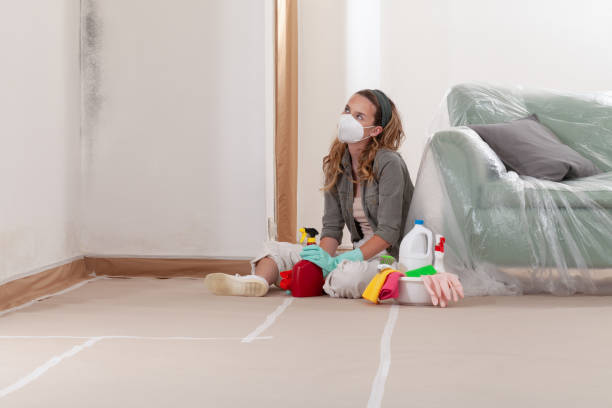 Reliable Black Mold Remediation contractor in Highlands, TX by Car Mold Remediation
